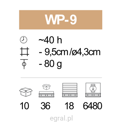 WP-9_pic.png