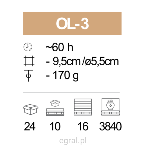 OL-3_pic.png
