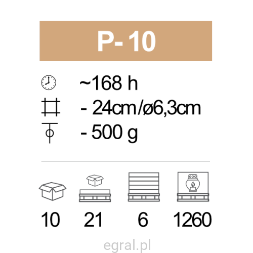 P-10_pic.png