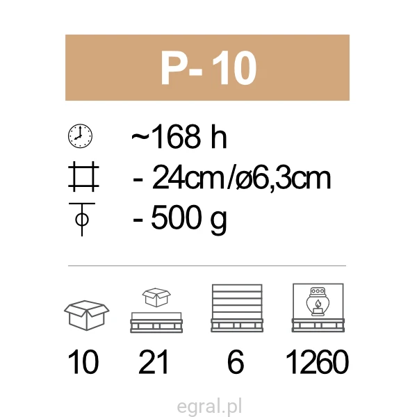 P-10_pic.png