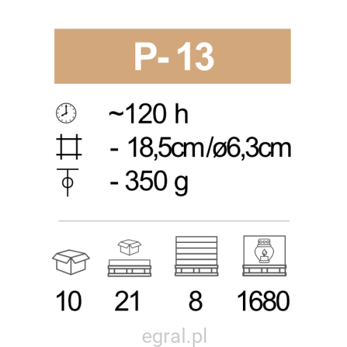 P-13_pic.png