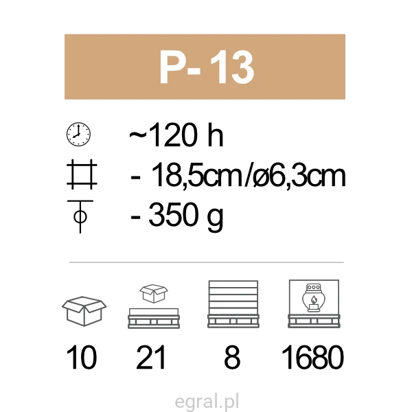 P-13_pic.png