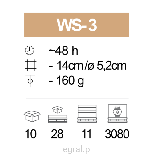 WS-3_pic.png