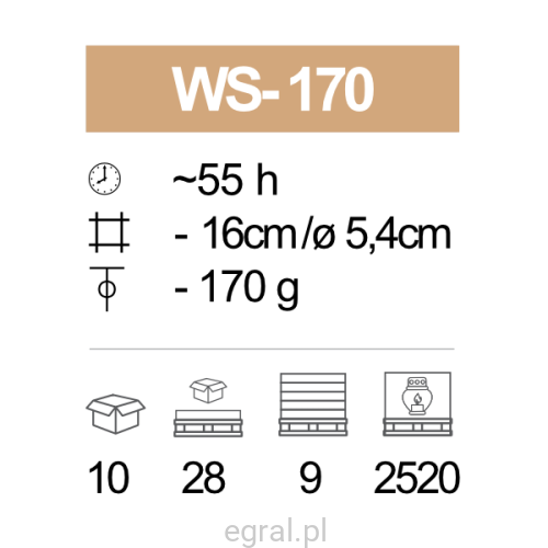 WS-170_pic.png