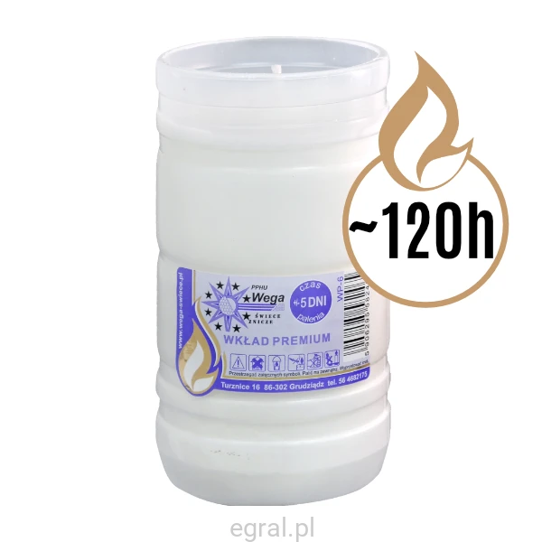 WP-6.png