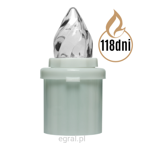 Dioda LED 118 dni_W.png