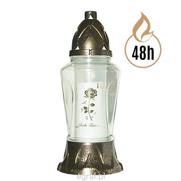 E-116_roza_B.png