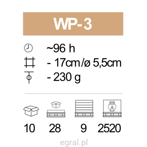 WP-3_pic.png