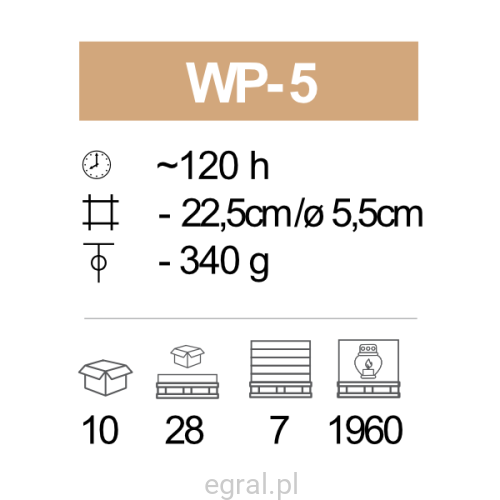 WP-5_pic.png